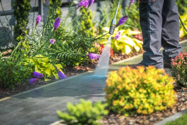 Best Patio and Deck Pressure Washing  in Riverview Rk, PA
